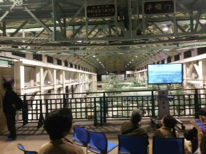 20181102mikawa2.jpg