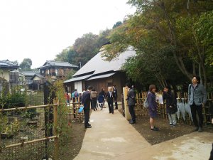 20181104asawa1.jpg