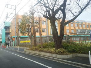 20190209san.jpg